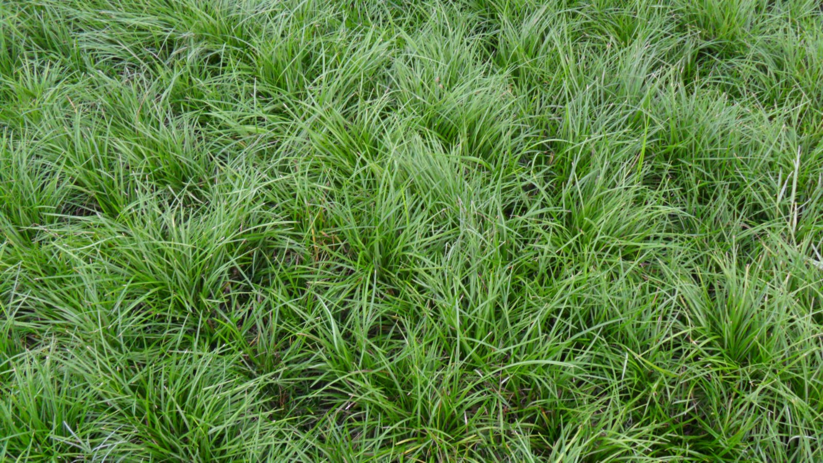 1629688964413662.jpg 1629688964413662.jpg