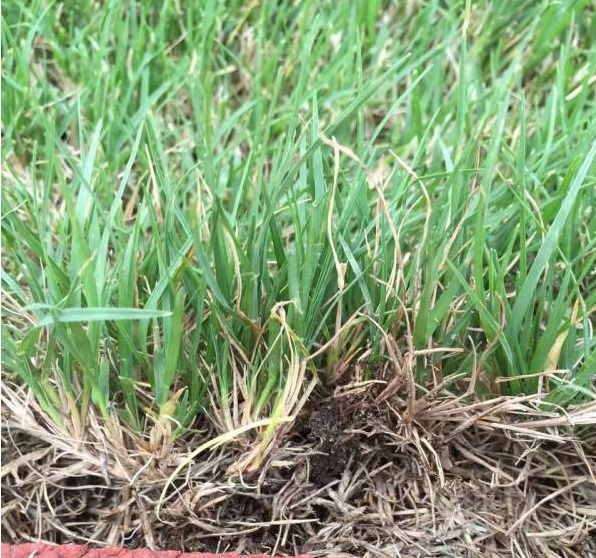 1629812585762977.jpg 1629812585762977.jpg