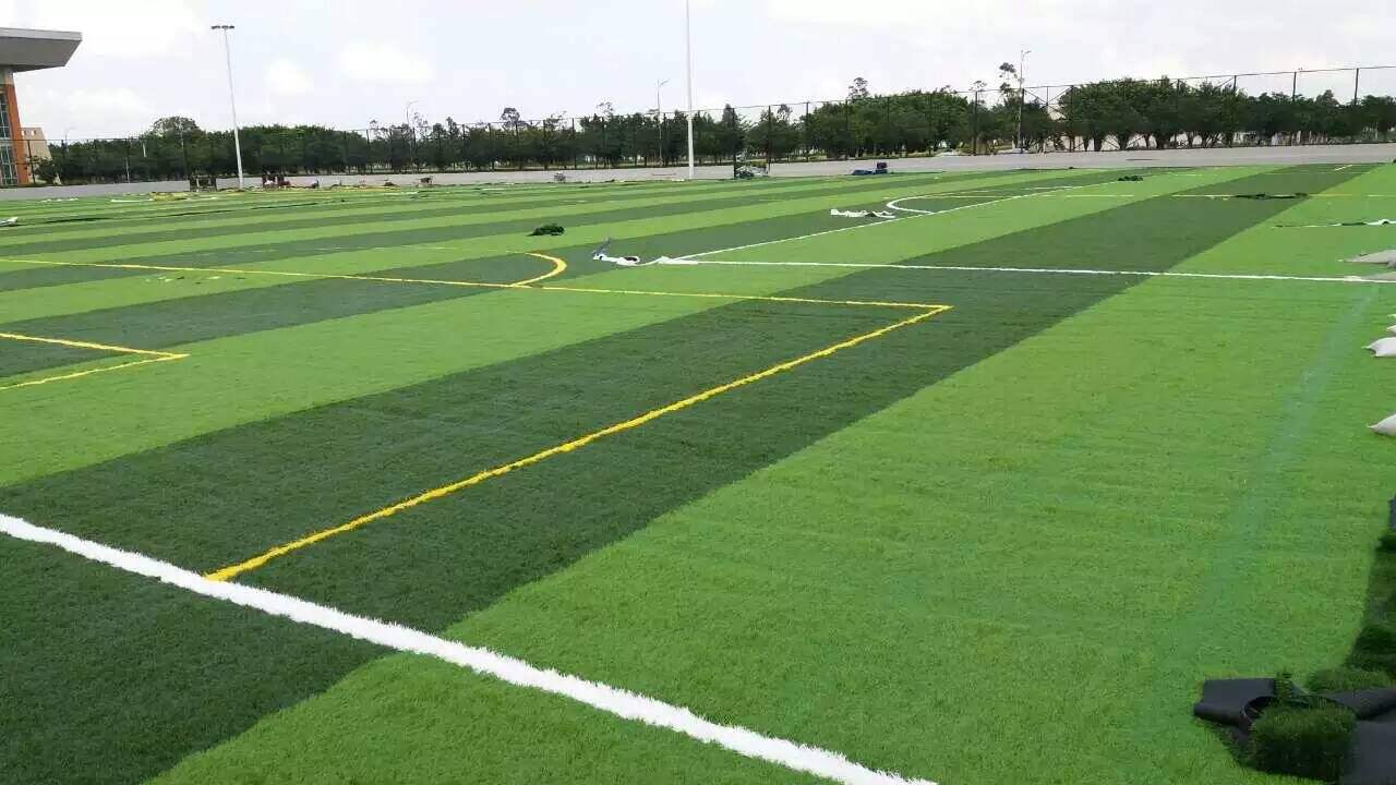 1629812852352554.jpg 1629812852352554.jpg