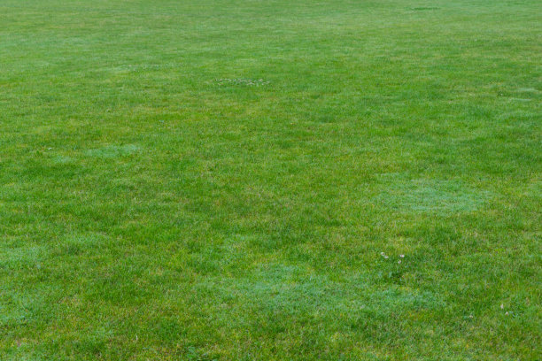 1629812852555951.jpg 1629812852555951.jpg