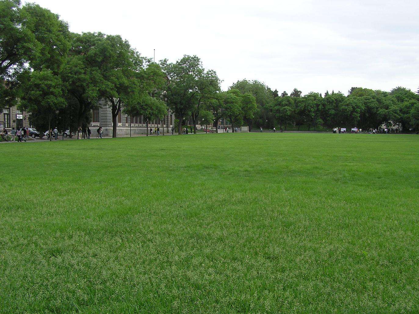 1629812852874856.jpg 1629812852874856.jpg