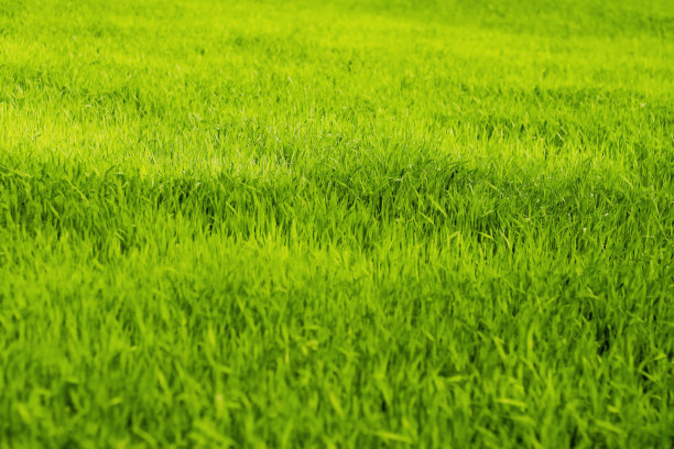 1629813985668201.jpg 1629813985668201.jpg