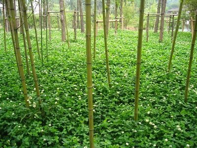 1629815006835424.jpg 1629815006835424.jpg