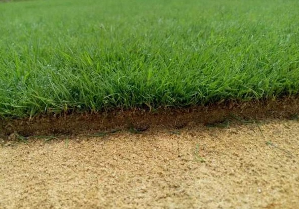 1629875293342481.jpg 80BTK(G)6MMSFL_{41(EZM1.jpg