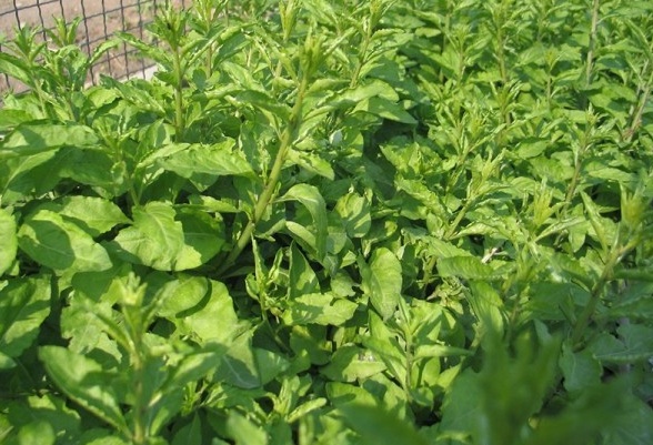 1629875604331521.jpg 6JGWRXTPES}194`V0ZA6E17.jpg