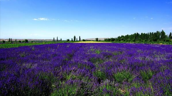 1629875894669189.jpg V9Y$X`D~PS7S2B1VXHYRZ6W.jpg