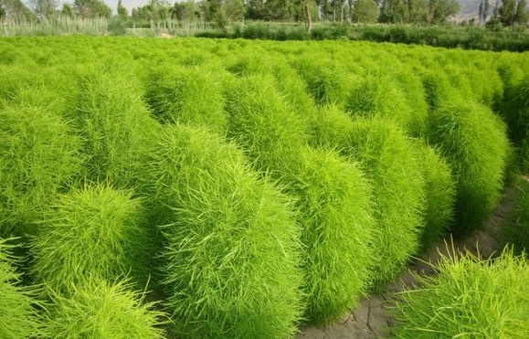 1629877054664565.jpg D$$QY$T}WHTVV4_0$8D_0UE.jpg