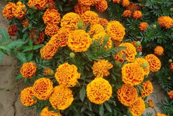 1629877552144212.jpg 1`ARTQM0F%NNILR}VQ3I`H9.jpg