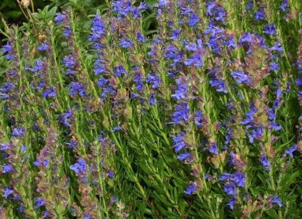 1629878078529670.jpg CDSZ%68@I4($``~`A2{FZZC.jpg