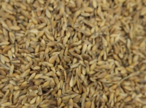 1629880879257512.jpg image.jpg