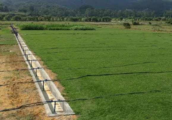 1629880884922358.jpg image.jpg