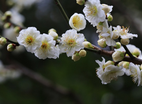 1629881131295448.jpg image.jpg