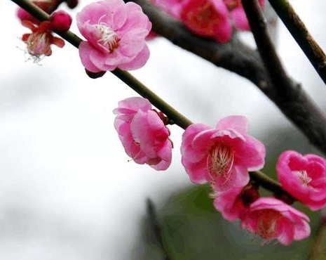 1629881142762898.jpg image.jpg