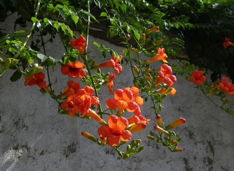 1629882149793469.jpg image.jpg