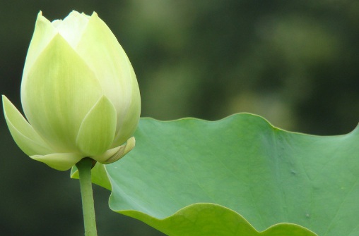 1629882296627455.jpg image.jpg