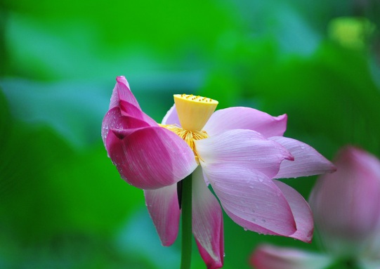 1629882305797288.jpg image.jpg