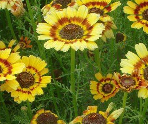 1629884052775193.jpg image.jpg