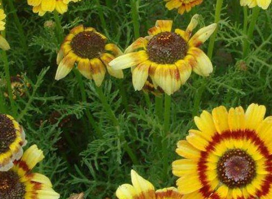 1629884058412634.jpg image.jpg