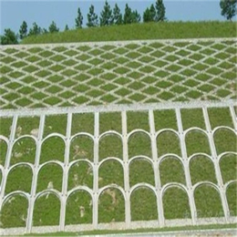 1629889210568462.jpg 1629889210568462.jpg