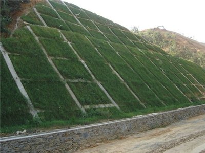 1629889230306219.jpg 1629889230306219.jpg