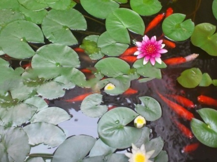 1629898551599388.jpg image.jpg