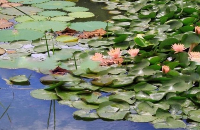 1629898559371379.jpg image.jpg