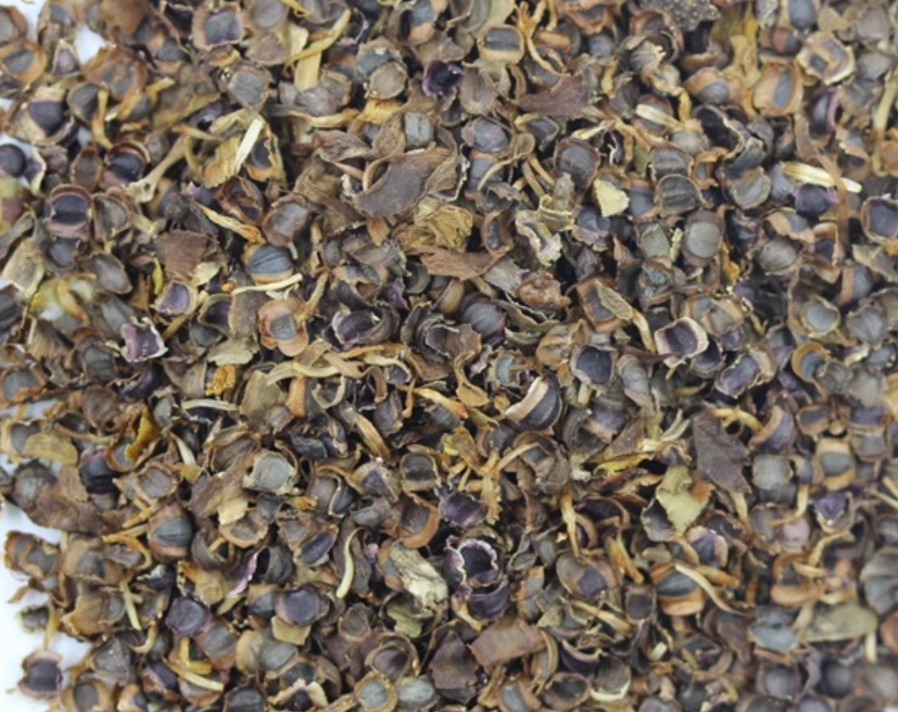 1629900856265703.jpg image.jpg