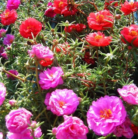 1629948444952991.jpg G%%74T)[45UBKZRZ`MXM}5I.jpg