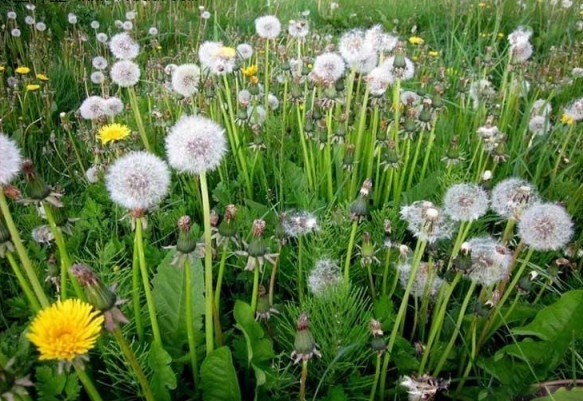 1629949037256329.jpg 7N{K_{MXK8$4BDKW(4JA2I9.jpg