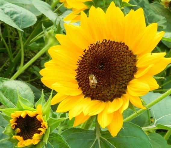 1629952055887669.jpg DV)Y9E0Q14{%@UQ3J9@9K)C.jpg