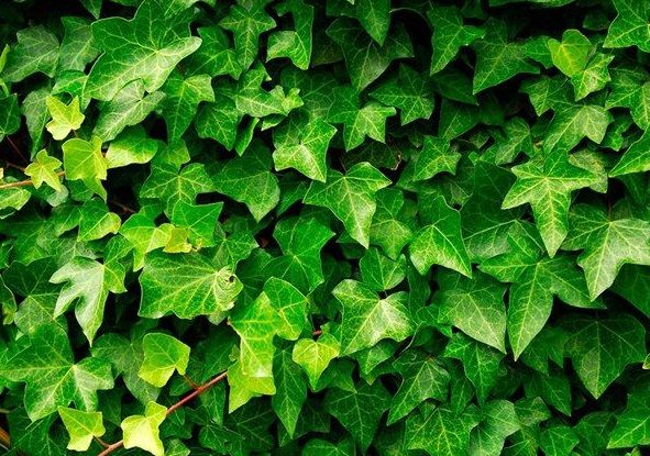 1629952955919986.jpg _6@WAAK_3JLTEJ47ENFBON1.jpg