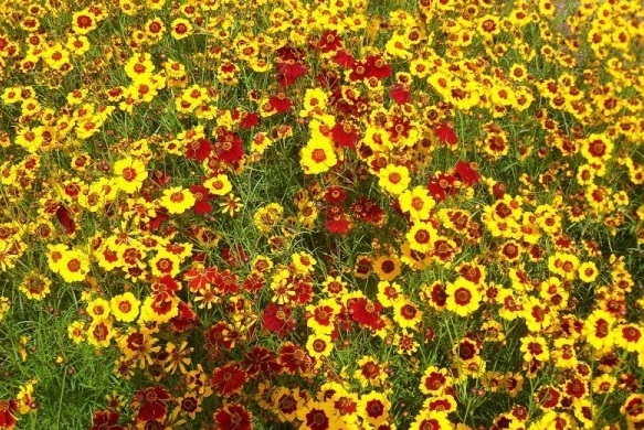 1629953467902273.jpg 4L~7114MNY$NO$ZKTV$7%%L.jpg