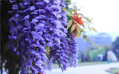 1629979723411964.jpg 1629979723411964.jpg