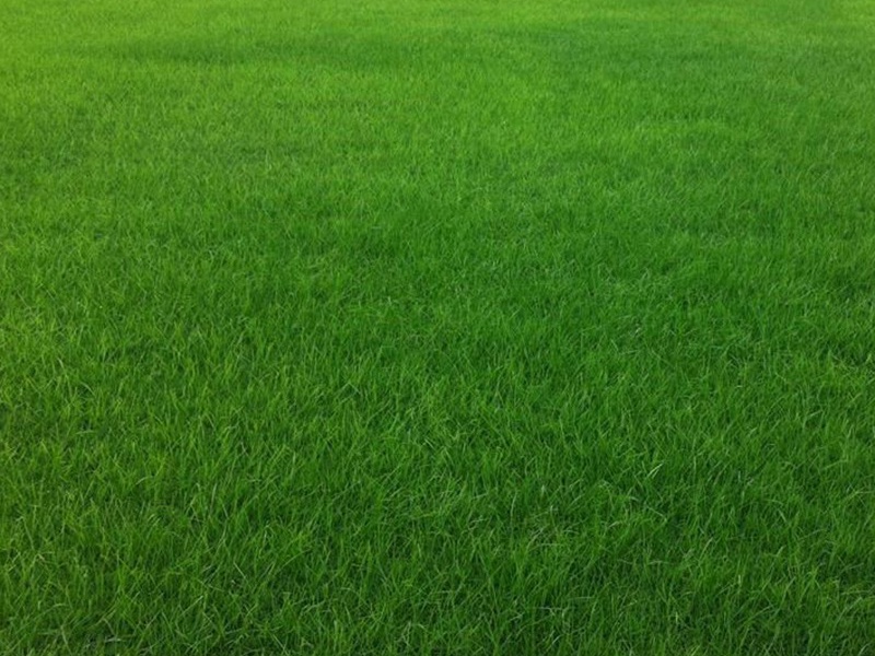 1630049064595873.jpg f3a9b5de70e371677c121a19b53205d1_1591075612913879.jpg