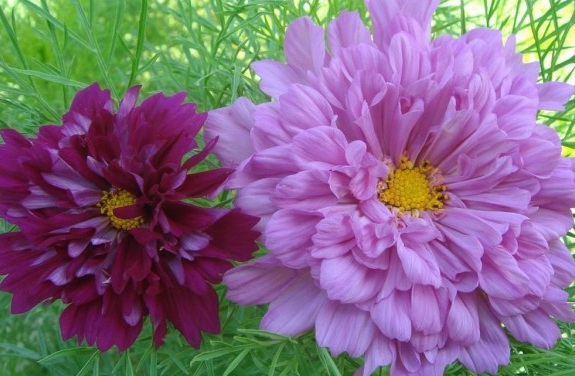 1630066406873590.jpg CT[YNF4JAA$LP%PC@RCG3QR.jpg