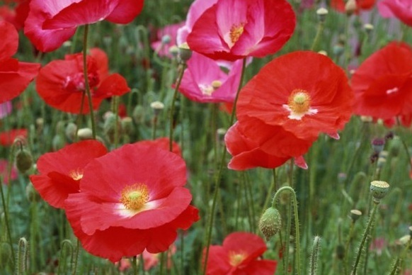 1630067121224654.jpg GTV5W4NQND%Z9$NM_VDY~`1.jpg