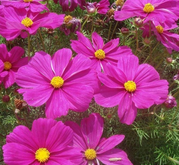 1630067402606138.jpg 7%XD@X~WHI`(`U)1BSBKA)3.jpg