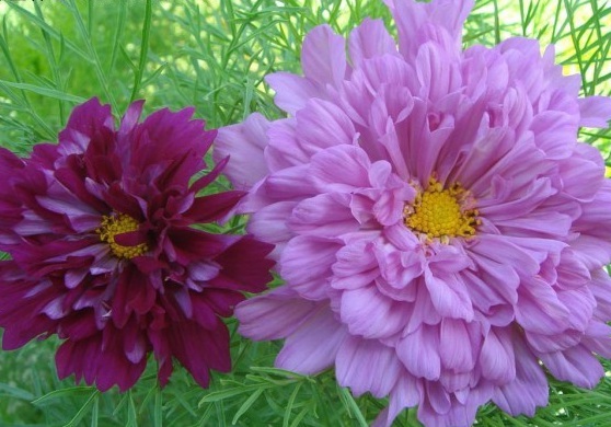 1630067921383046.jpg 8O2@H(AH(R@AIXW(24VJMQ8.jpg