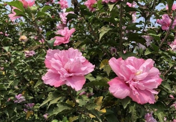 1630068454204088.jpg 2MFHZ6)I[7~D)EP%R97XOKP.jpg