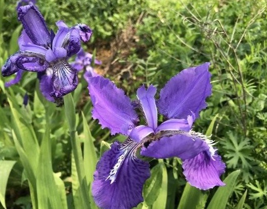 1630069075848393.jpg R1D~4JZ{{9GKFHUJ5QN[6{P.jpg