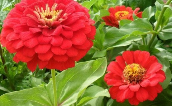 1630069411173737.jpg ZB)%G(HX}B)ET~{AHN74WM4.jpg