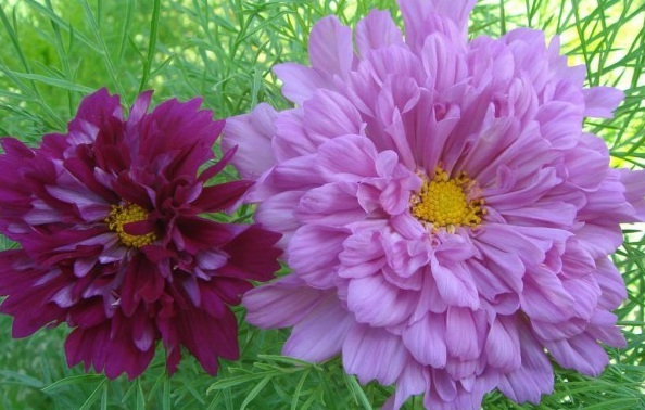 1630069547695058.jpg GQ8CDI5{Q0)9RK%$O73K@FF.jpg