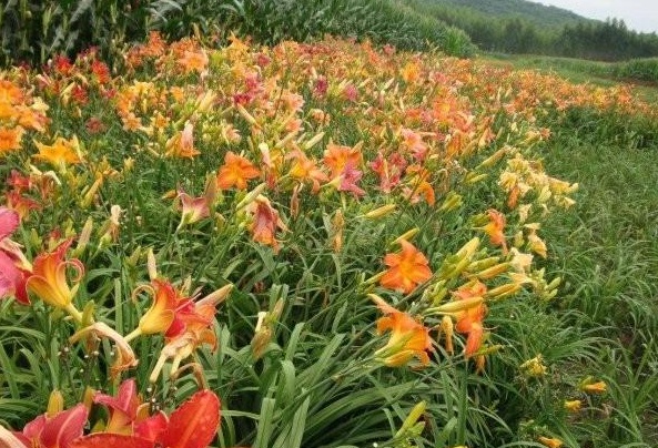 1630070178472965.jpg @$1K`2TBW3QA6UZ%E8G%PI5.jpg