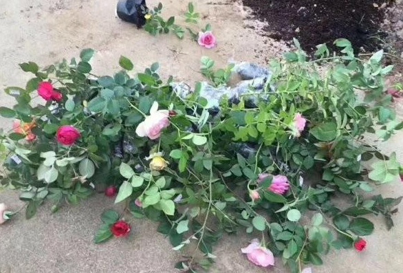 1630071043146821.jpg XCTT3R7P%4LW{AZE(0_9{K9.jpg