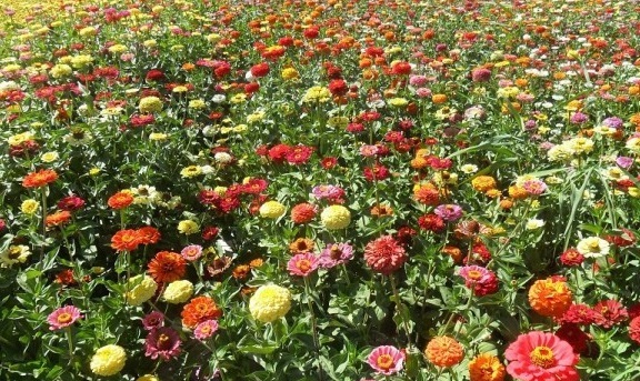 1630071777932335.jpg 4IO`MNOD_0@B(GNDP48TU0M.jpg