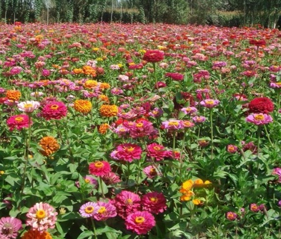 1630071785907423.jpg UP6P[`@G3EW0RG8I17SH`6V.jpg