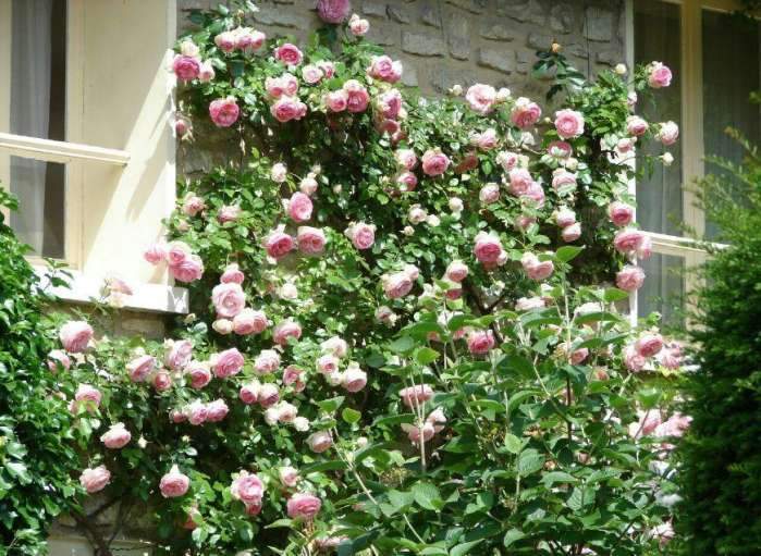 1630072228329919.jpeg 1630072228329919.jpeg