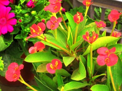 1630076583284767.jpg 1630076583284767.jpg