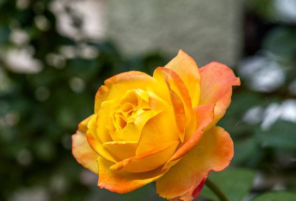 1630076760371020.jpg 1630076760371020.jpg