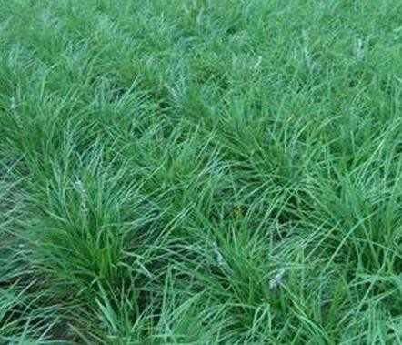 1630076979786920.jpg 1630076979786920.jpg